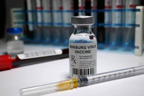 Marburg vaccine